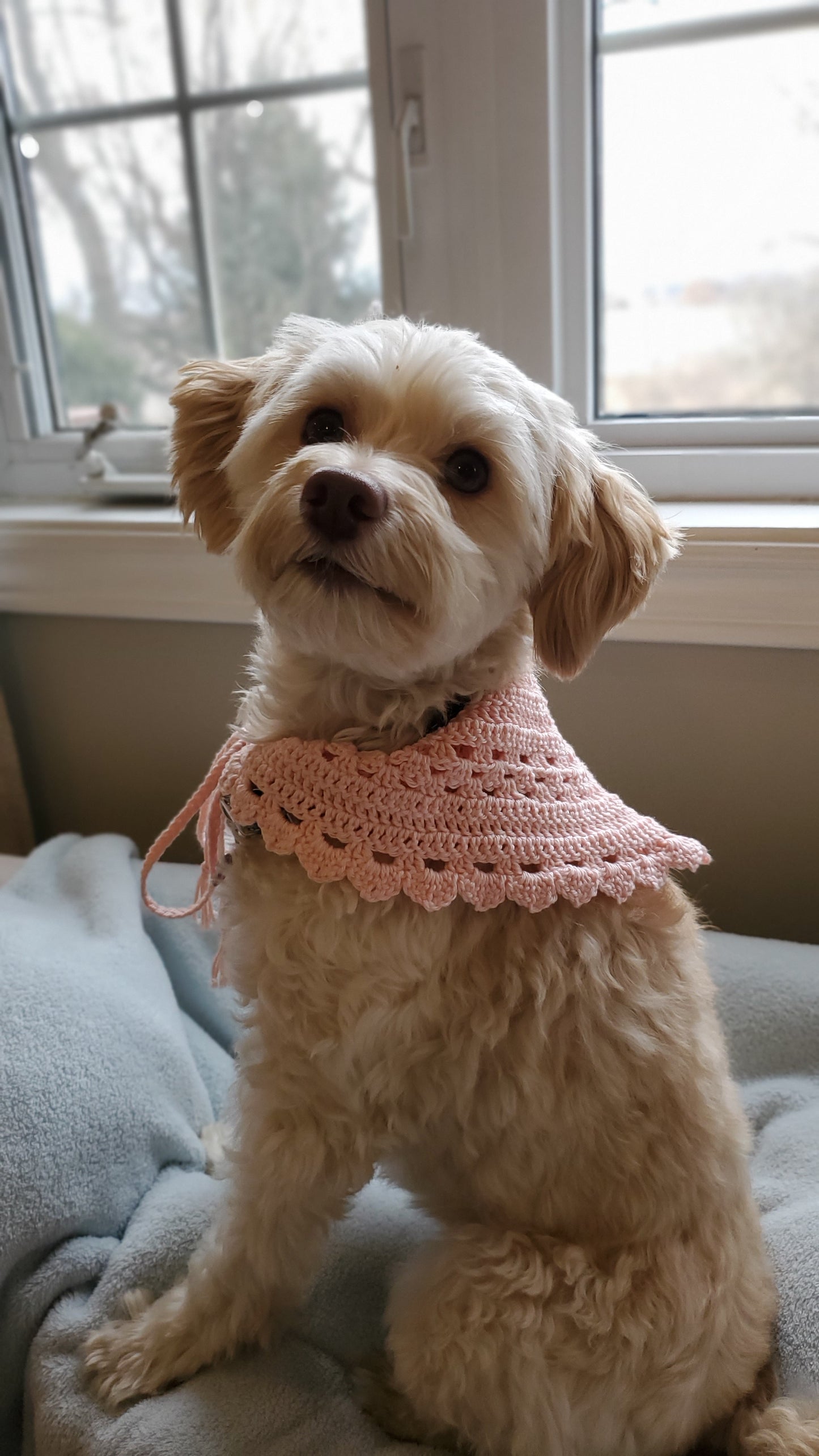 Sweet Pea Bandana ~ PDF Crochet Pattern