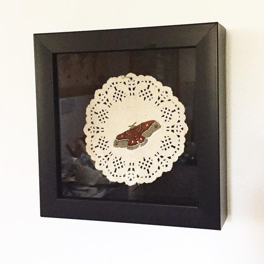 Black Shadow Box Frame