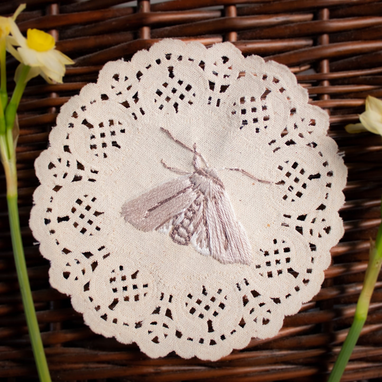 Common Gluphisia Embroidered Moth