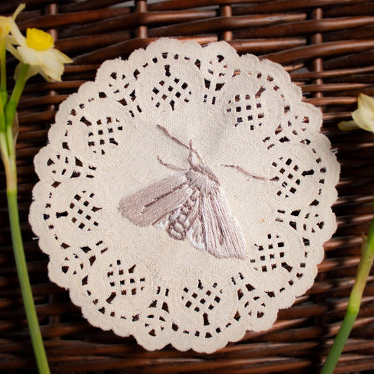 Common Gluphisia Embroidered Moth