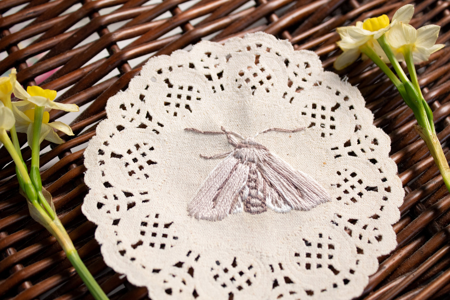 Common Gluphisia Embroidered Moth