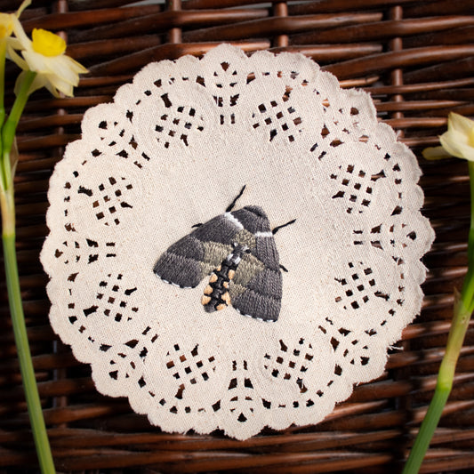 Carolina Sphinx Embroidered Moth