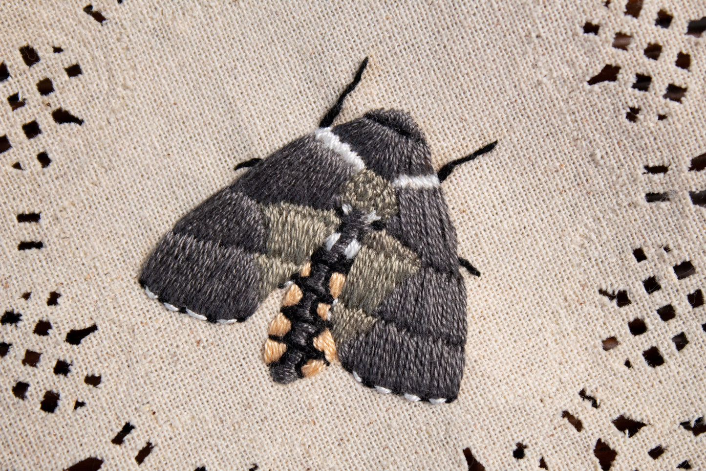 Carolina Sphinx Embroidered Moth