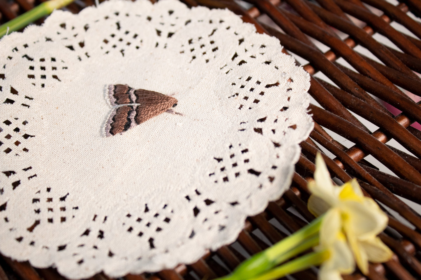White Lined Graylet - Embroidered Moth on Doily - Poppysmicks