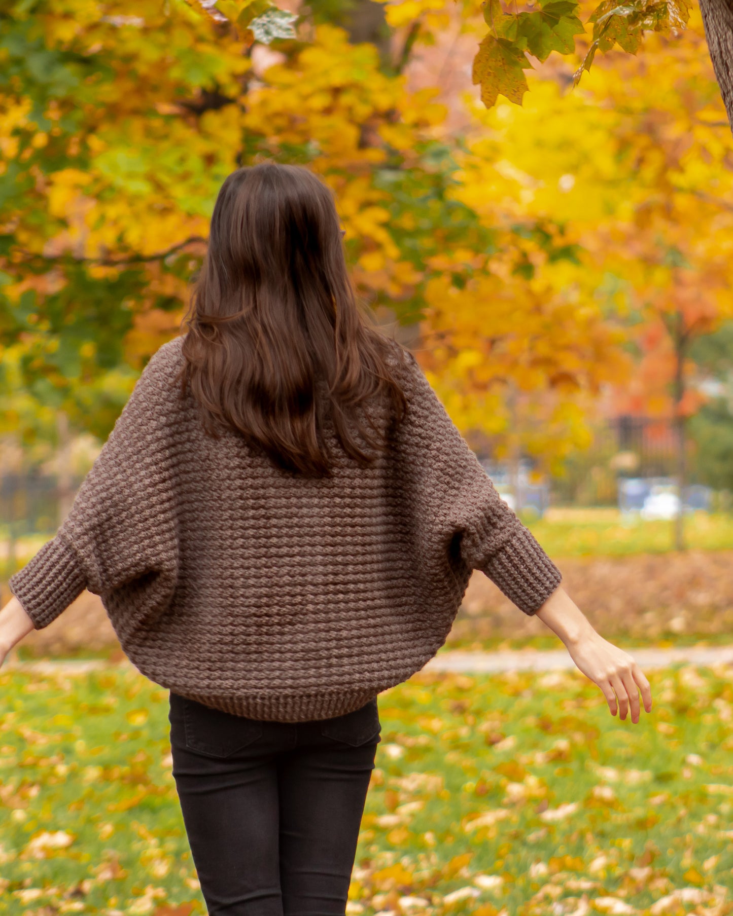 Patons Classic Wool Worsted