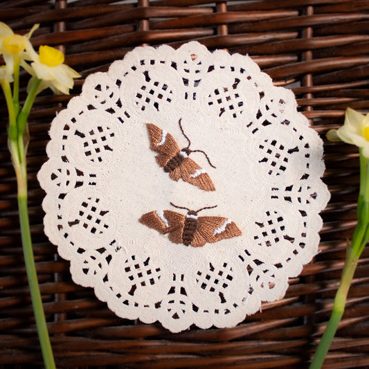Broad Banded Skipper Embroidered Moth