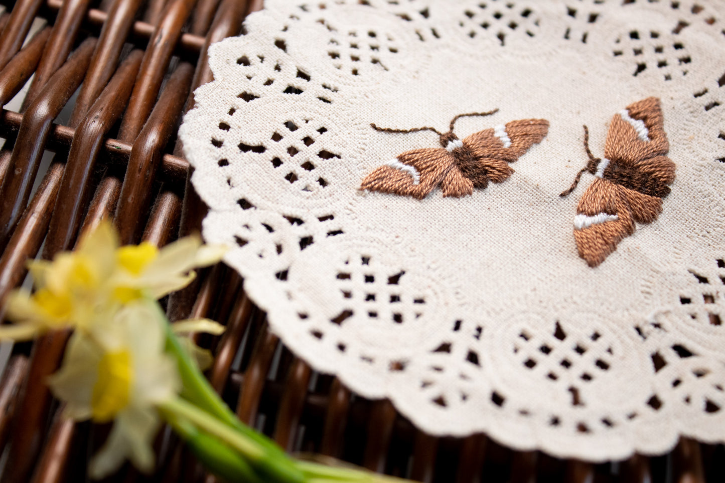 Broad Banded Skipper Embroidered Moth