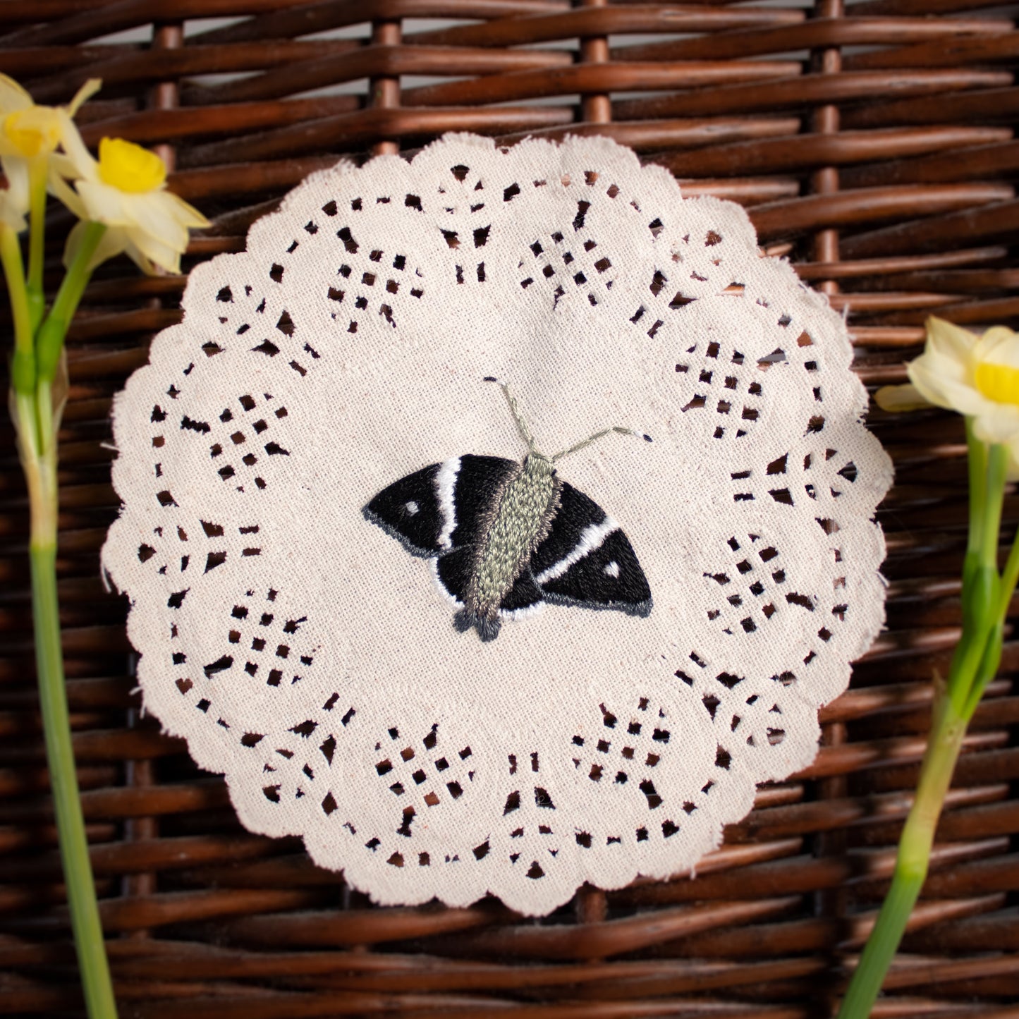 Spike Banded Skipper Embroidered Moth