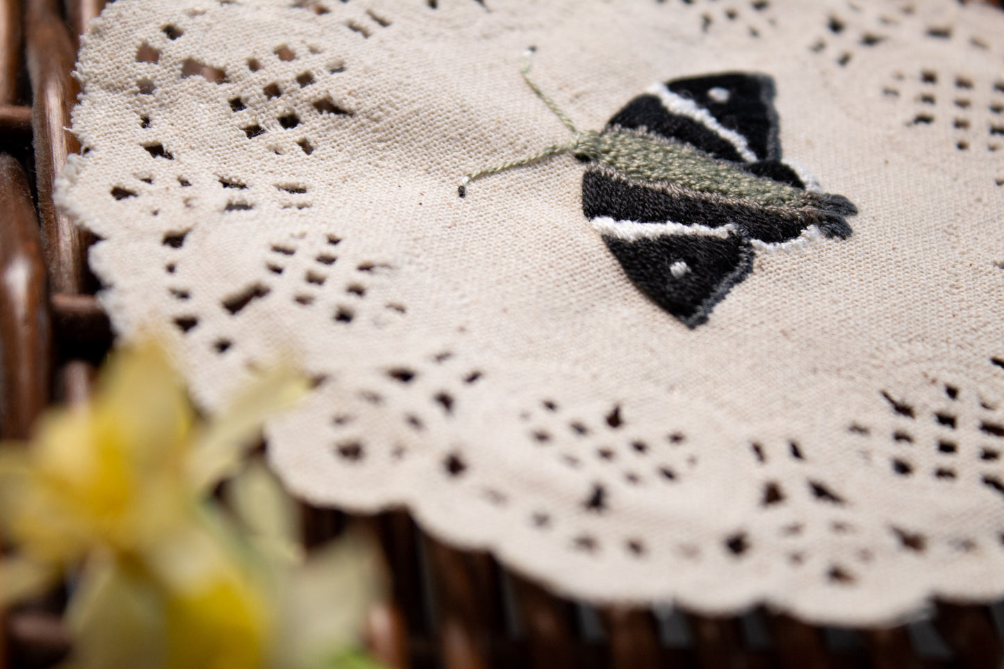 Spike Banded Skipper Embroidered Moth