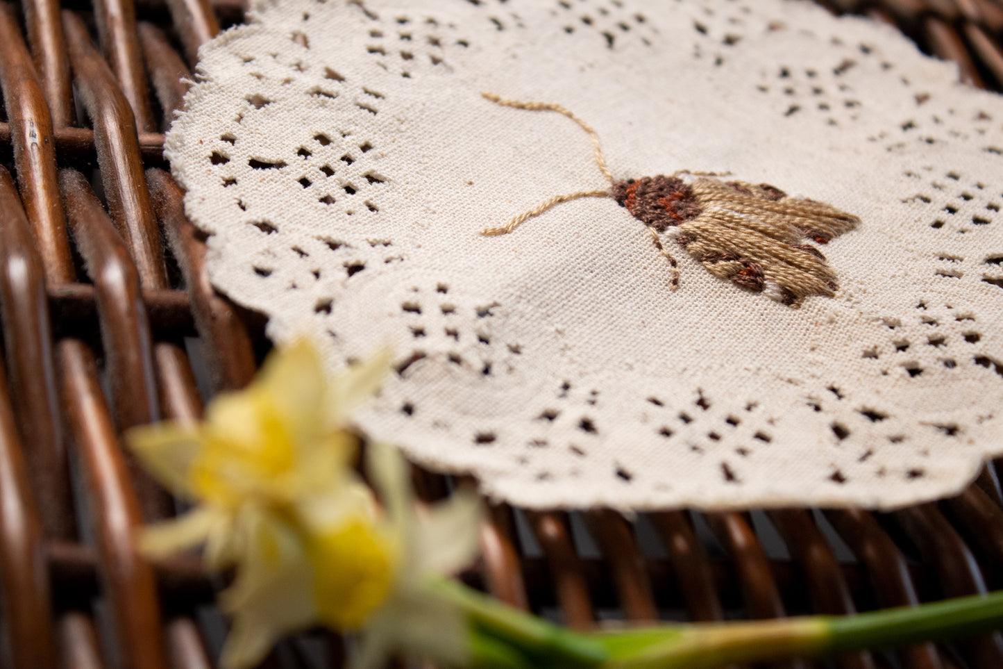 Wood-Colored Apamea Embroidered Moth - Poppysmicks