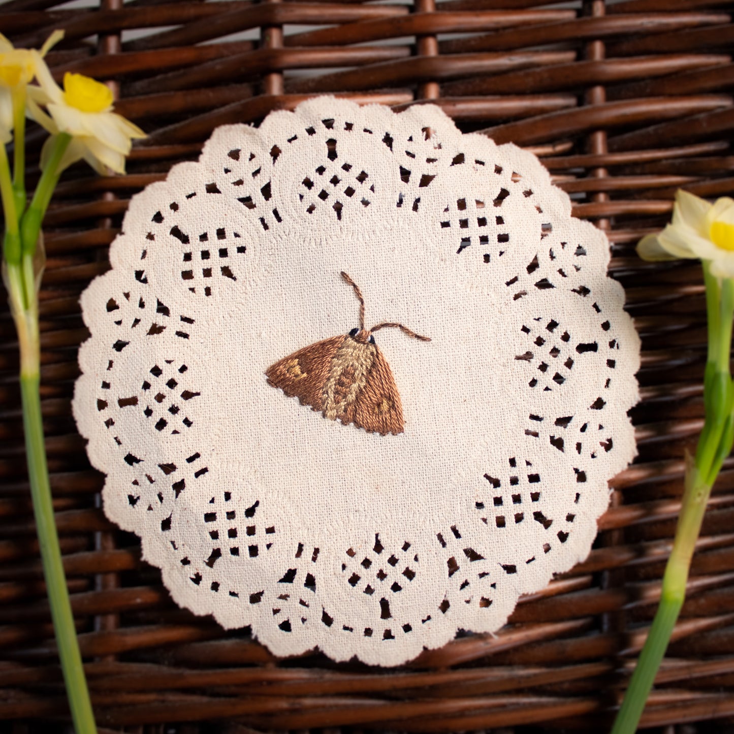 Silver Spotted Skipper Embroidered Moth