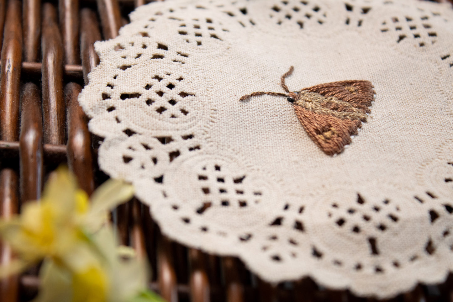 Silver Spotted Skipper Embroidered Moth