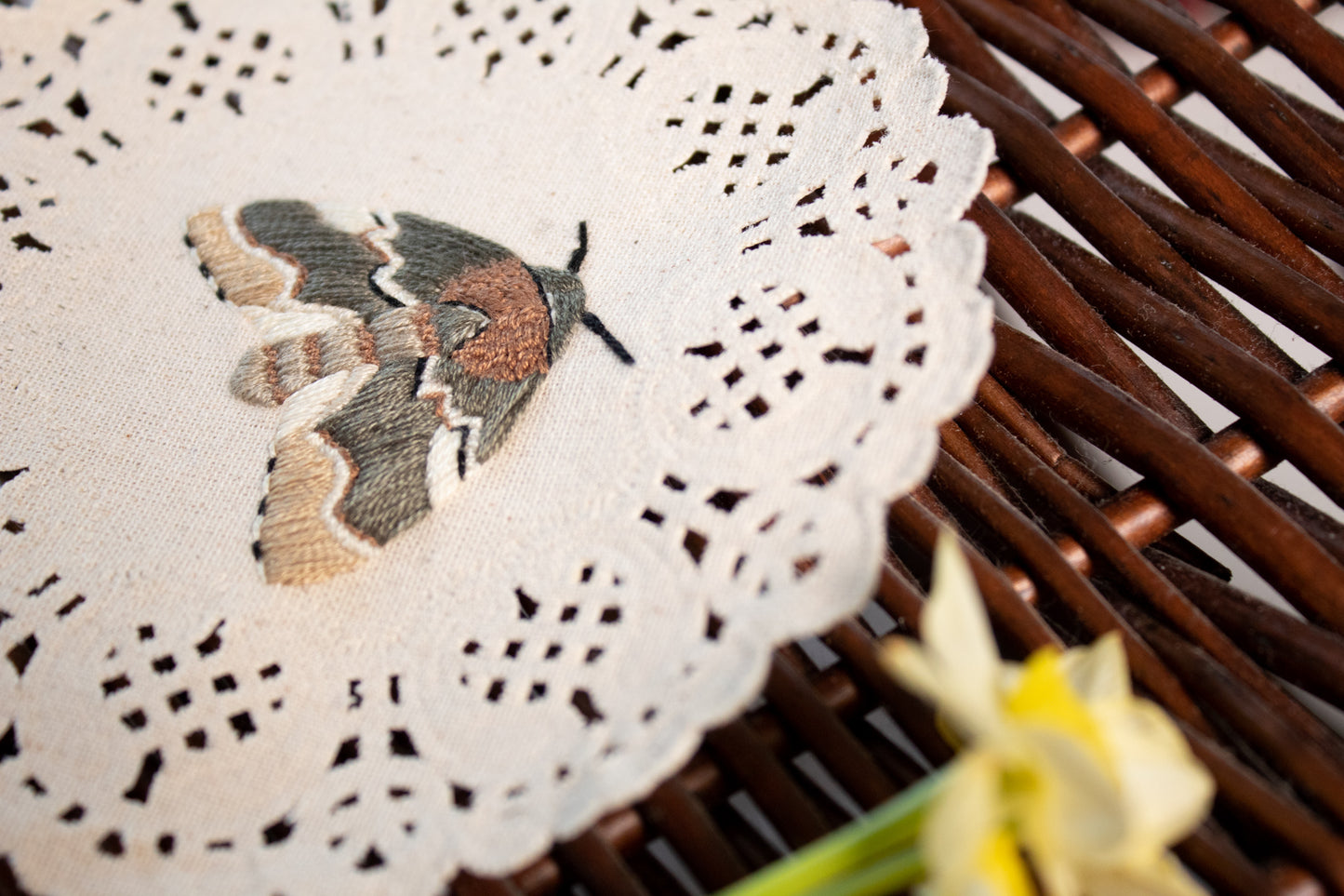 Chocolate Prominent Embroidered Moth