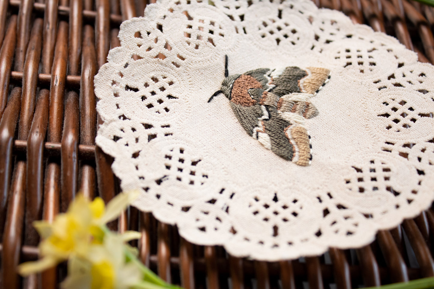 Chocolate Prominent Embroidered Moth