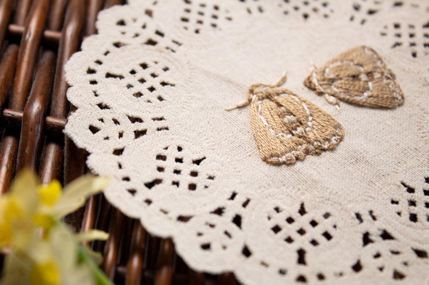 Lettered Habrosyne Embroidered Moths