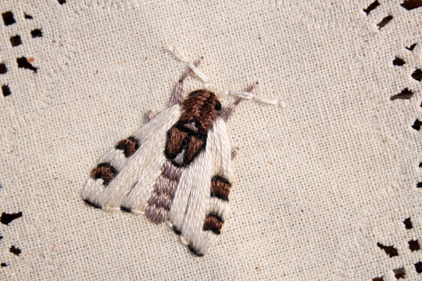 Waved Sphinx Embroidered Moth