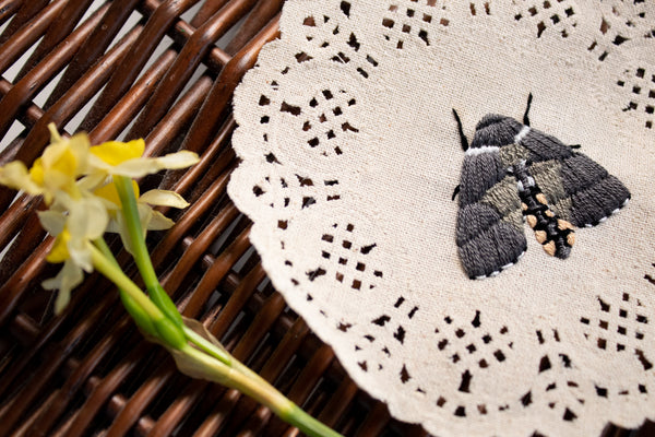 Carolina Sphinx Embroidered Moth