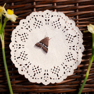 White Lined Graylet - Embroidered Moth on Doily