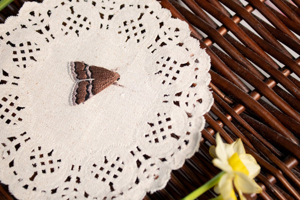 White Lined Graylet - Embroidered Moth on Doily