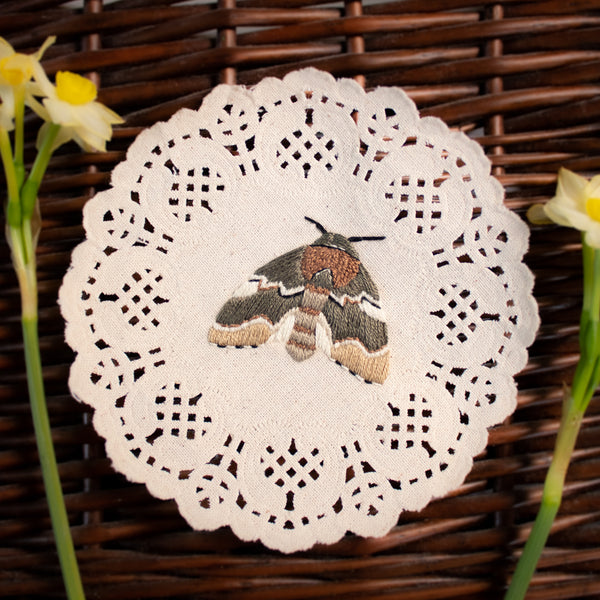 Chocolate Prominent Embroidered Moth