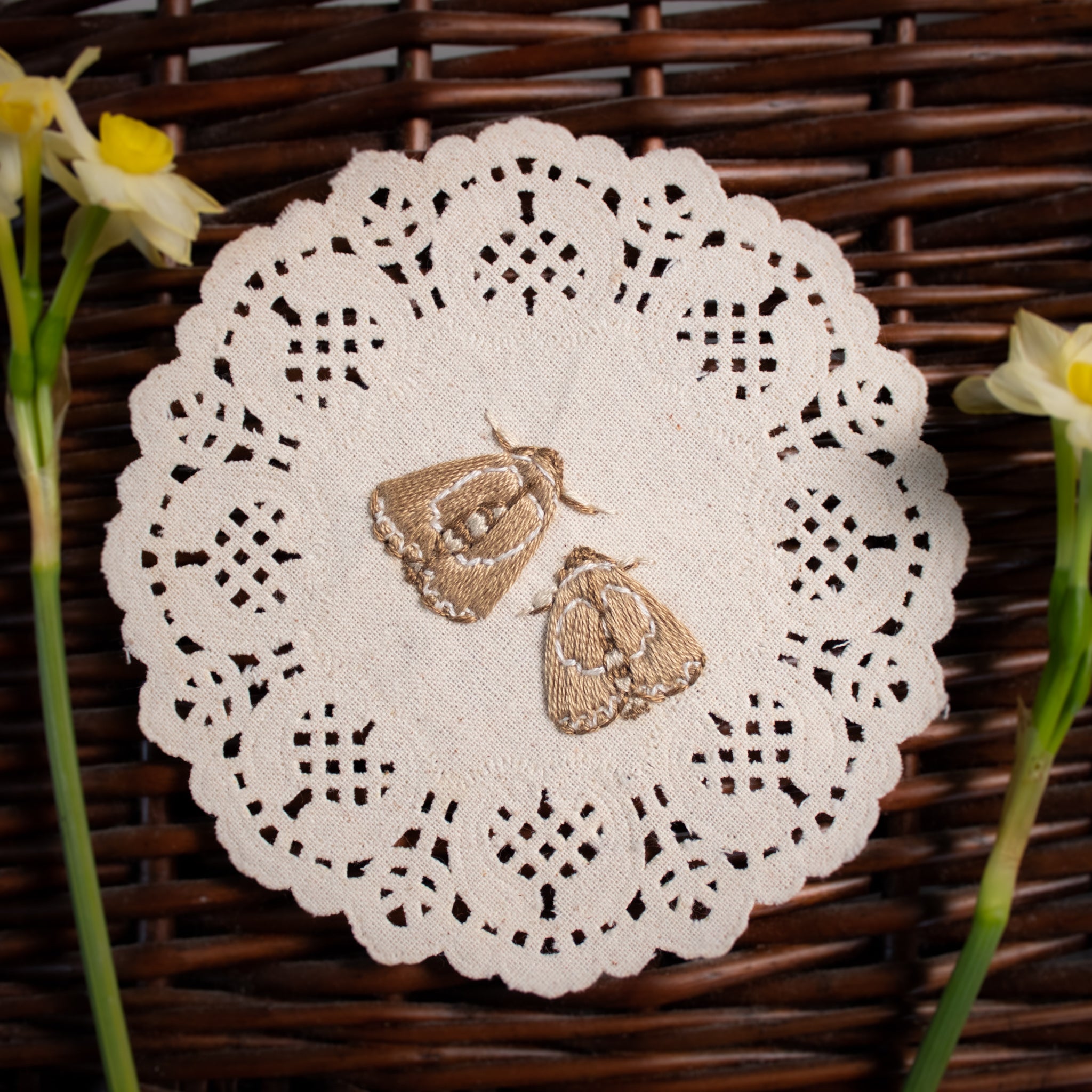 Lettered Habrosyne Embroidered Moths